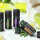 12-pack of Essential Oils, $13 with code KINJASA5